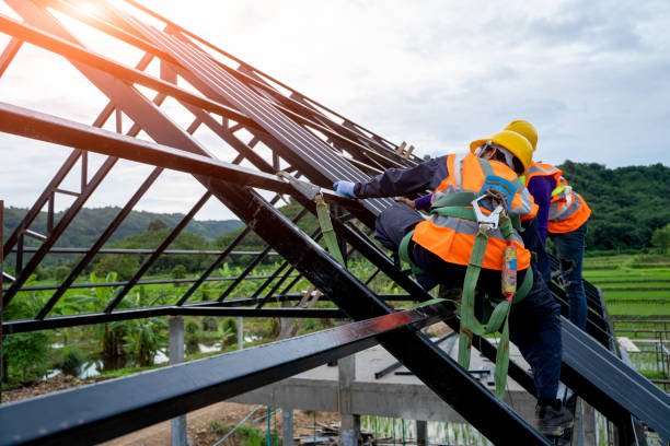 Best Roof Maintenance Services  in Lake Cassidy, WA