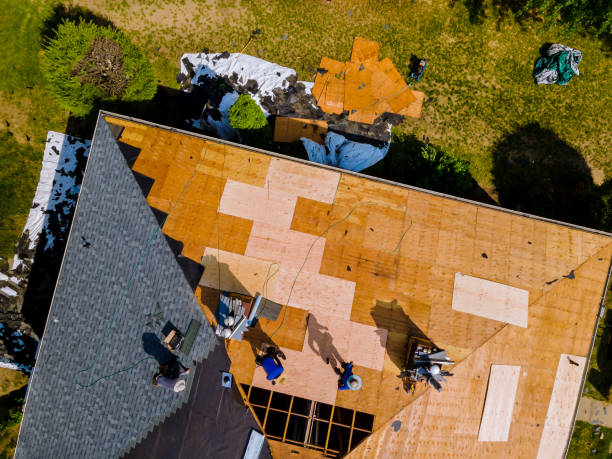 Best Roof Repair Services  in Lake Cassidy, WA