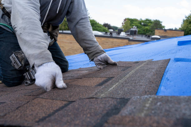 Best New Roof Installation  in Lake Cassidy, WA
