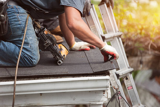 Best Metal Roofing Contractor  in Lake Cassidy, WA