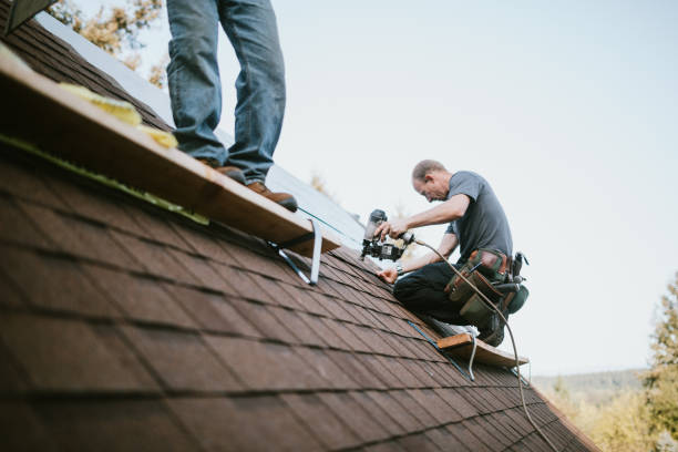 Professional Roofing Contractor in Lake Cassidy, WA