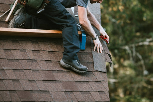 Best Shingle Roofing Installation  in Lake Cassidy, WA